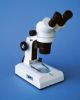 Picture of Stereo Microscope