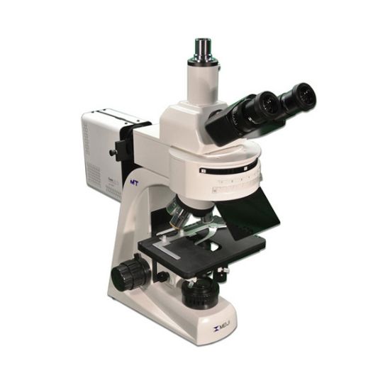 Picture of MT6300CL Trinocular Lab Microscope