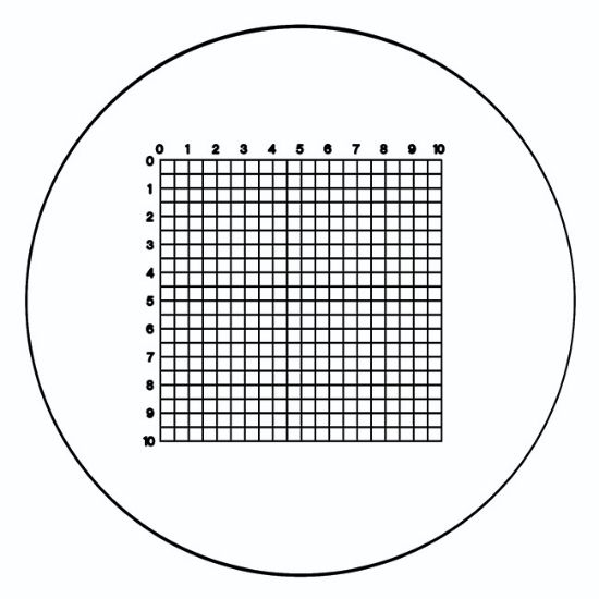 Picture of RET 80, Indexed Grid 10mm X 10mm X 0.5mm With 0.025mm Line, 1 – 10 Horiz / A – Z Vert. 21mm Diameter