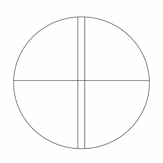 Picture of NE 54 Two Vertical Lines 0.2mm Apart 16mm