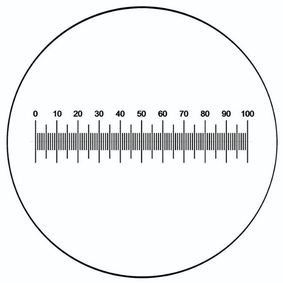 Picture of Horizontal Micrometer Scale 10mm, 16mm