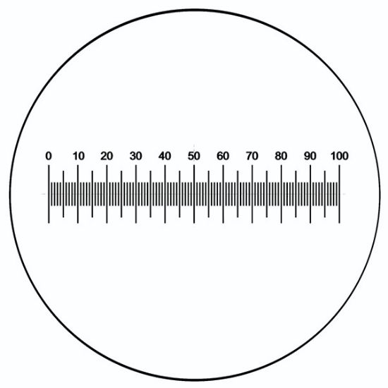 Picture of NE31 Horizontal Scale 0.5” Long With 100 Divisions Of 0.0005”, 16mm