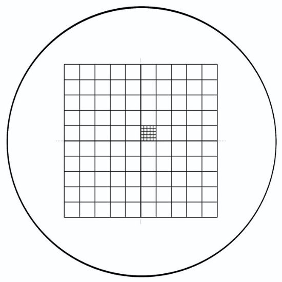 Picture of NE29 Whipple Grid Graticule