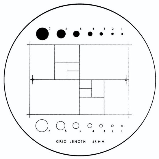 Picture of British Standard Graticule NG10