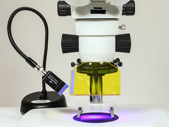 Picture of Full Sys., RB Light, Green-Only Filter, PULSE lamp