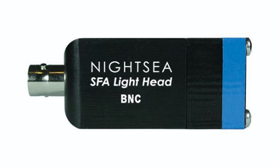 Picture of Light Head, Royal Blue