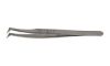 Picture of Eyelash Tweezer Style 6SP, Serrated