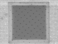 Picture of Quantifoil® R 1/4, 400 Mesh, Cu