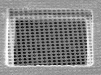 Picture of Quantifoil® R 0.6/1, 400 Mesh, Au