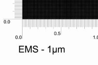 Picture of 1 μm Specimen, Traceable, Unmounted