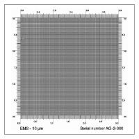 Picture of 10 µm Pitch Silicon Calibration Specimen