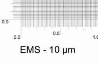 Picture of 10 µm Specimen, Traceable, E Mount