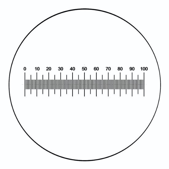 Picture of Horizontal and Vertical Scale Graticules