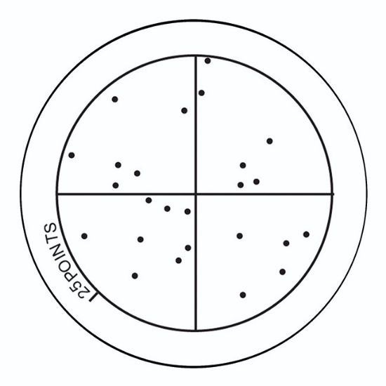 Picture of Chalkley Point Array Graticule