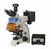 Picture of Fluorescence Microscope