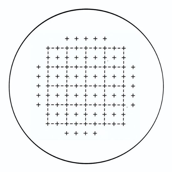 Picture of Lennox Grain Analysis Graticule