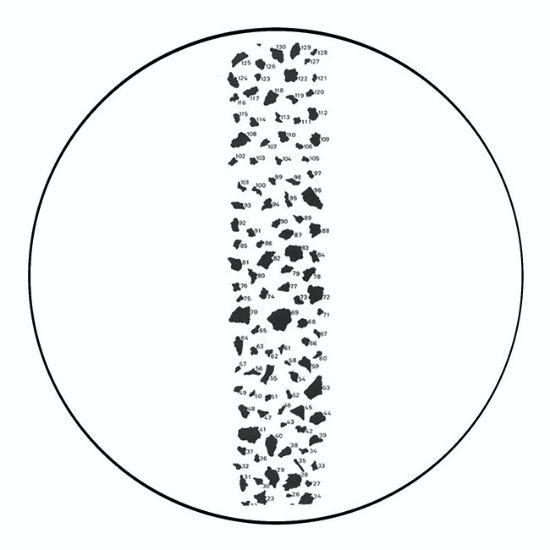 Picture of Calibration Test Slide for Particle Sizing