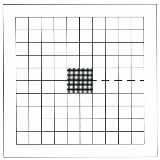 Picture of PGR100 Calibration Grid