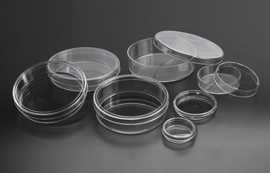 Picture of Sterile Petri Dish 55X13mm 28mL