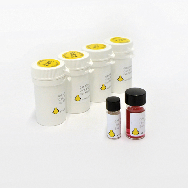 Aurion Immunogold Conventional Reagents