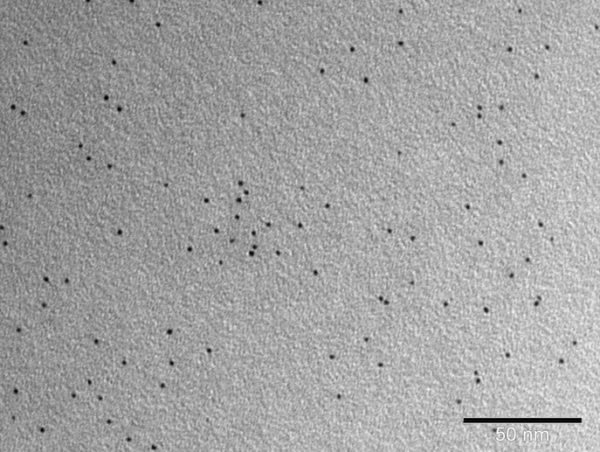 Aurion_2nm_Micrograph_1